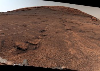Curiosity scopre un «mare di poligoni» su Marte