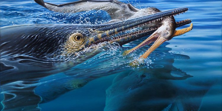 Fossile d’ittiosauro svela una catena alimentare tripla