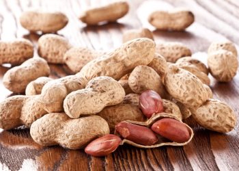 Allergia alle arachidi, sei adulti più tolleranti dopo capsule fecali
