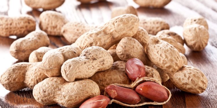 Allergia alle arachidi, sei adulti più tolleranti dopo capsule fecali