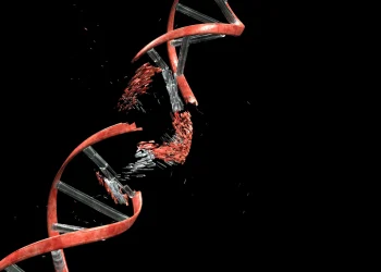 Il cancro potrebbe spezzare il proprio DNA