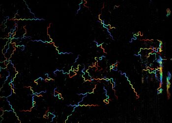Microscopio computazionale riprende 25,2 miliardi di pixel al secondo