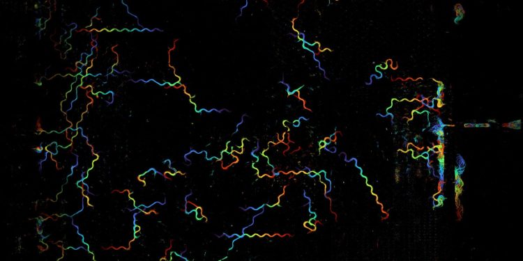 Microscopio computazionale riprende 25,2 miliardi di pixel al secondo